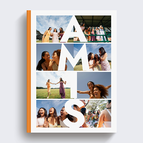Amis vertical