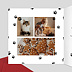 Carte de Noël  Chat de Noel Intérieur Gauche