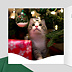 Carte de Voeux Chat et Couronne de Noël Intérieur Gauche