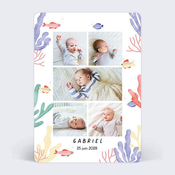 Faire part naissance Aquatique