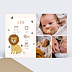 Faire part naissance Lion picto