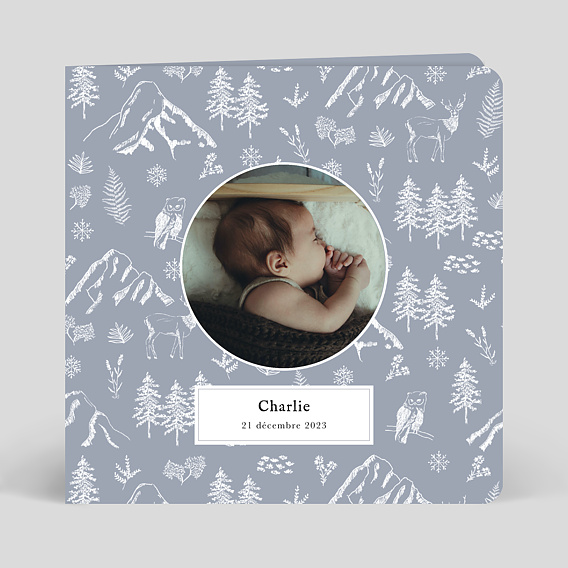 Faire part naissance Pattern Hiver