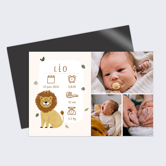 Faire part naissance Lion picto