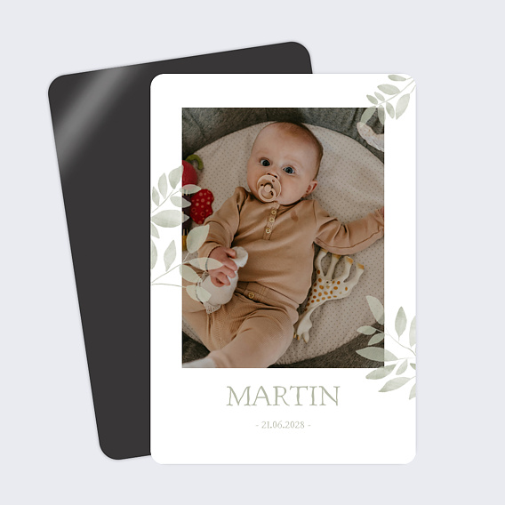 Faire part naissance Jolis brins