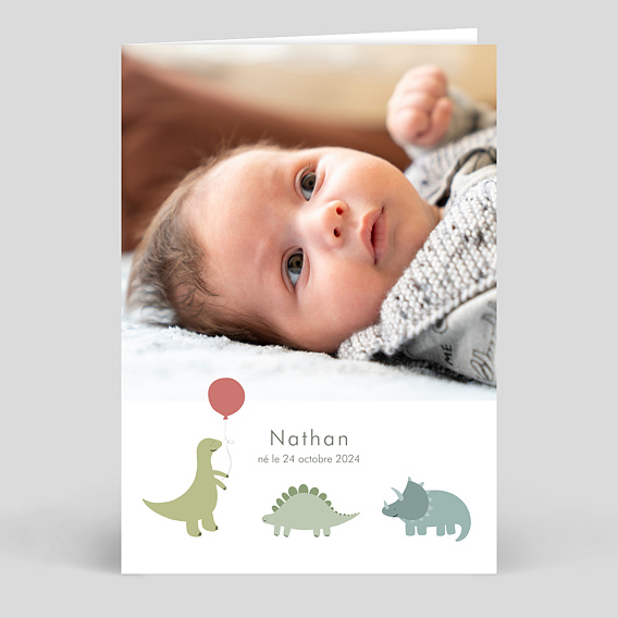 Faire part naissance Dinosaure Mignon