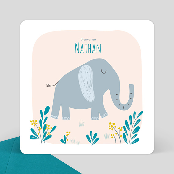 Carte D'invitation De Fête De Naissance Avec éléphant