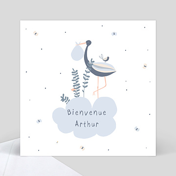 Carte De Felicitation Naissance Jolie Cigogne Popcarte