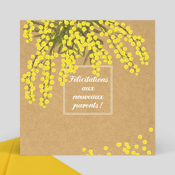 Carte De Felicitations Naissance Mimosa Popcarte