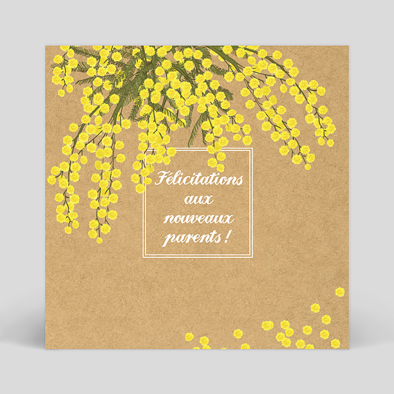 Carte félicitations naissance Mimosa