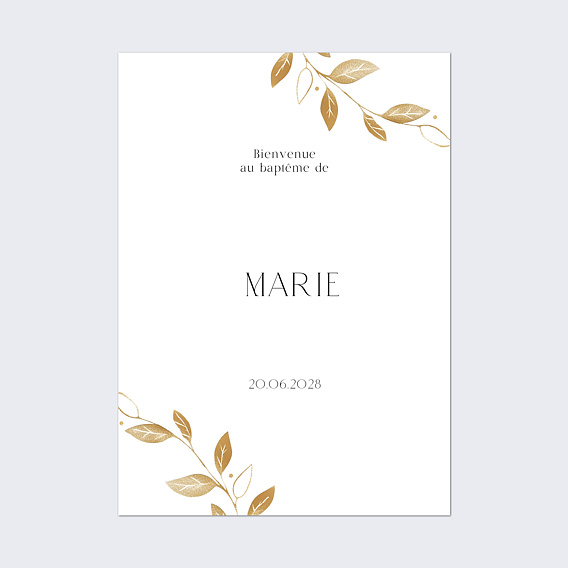 Panneau bienvenue baptême Couronne chic