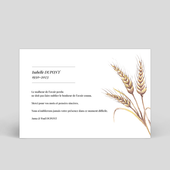 Carte remerciement décès Joli epis de blé